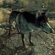 Image for article titled It's National Dog Day. Let's Celebrate Gaming's Greatest Canines.